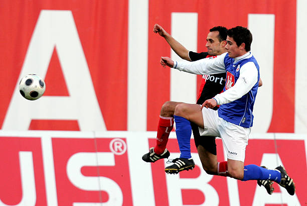 的中坚力量 的中坚力量